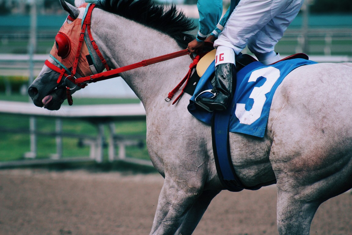 Jockey et cheval